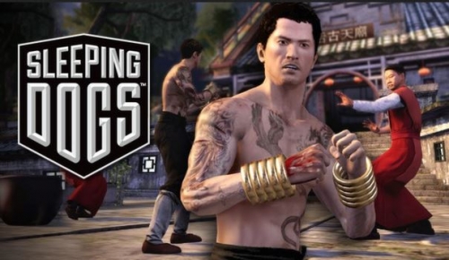 sleeping dogs.JPG